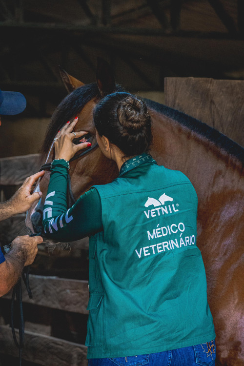 Vetnil fortalece atuação na medicina veterinária equina durante a XXVI edição da Conferência Anual da ABRAVEQ