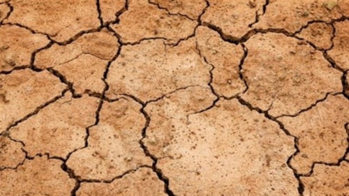Seca e calor pressionam lavouras no hemisfério norte