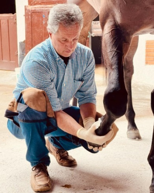 O preparo dos cavalos de corrida faz a diferença nos resultados das competições