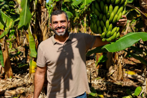 Produtor de MS supera seca e projeta 120 t de banana com o Senar