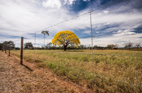 Sustentabilidade na prática: o que protege a natureza e fortalece a produção?