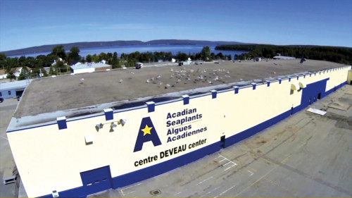 Linha de produtos à base de algas da Acadian são enquadrados como biofertilizantes pelo Ministério da Agricultura
