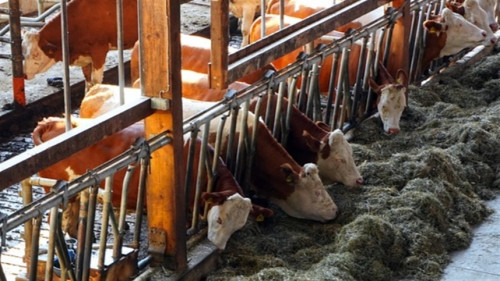 Tensão comercial amplia incerteza no setor agrícola