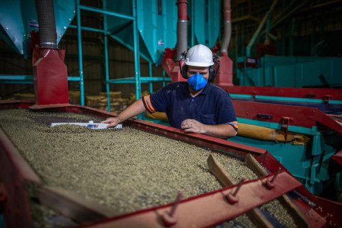 Como o agronegócio emprega mais de 22 mil pessoas em Campo Grande