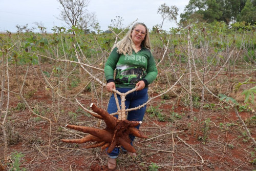 Da dificuldade à fartura: produtora colhe maracujá e mandioca em MS