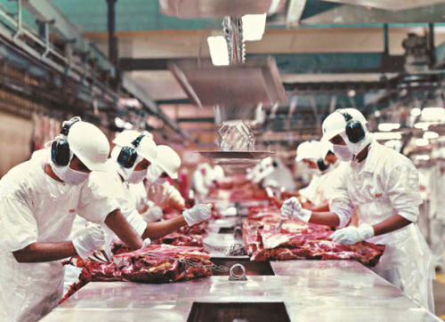 Exportações de carne perdem ritmo em agosto