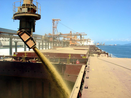 Soja atinge US$ 540 a tonelada em Paranaguá após salto de 8% na CBOT