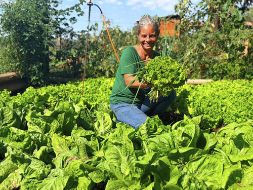 Produtora em Bataguassu expande horta em 700% e diversifica renda