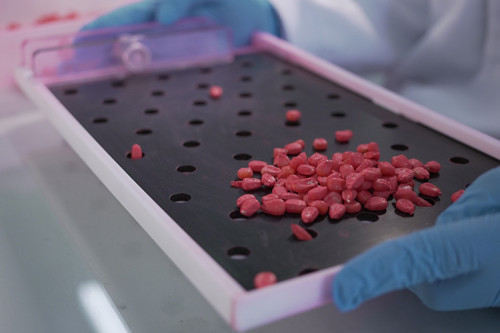 Controle na armazenagem preserva vigor das sementes