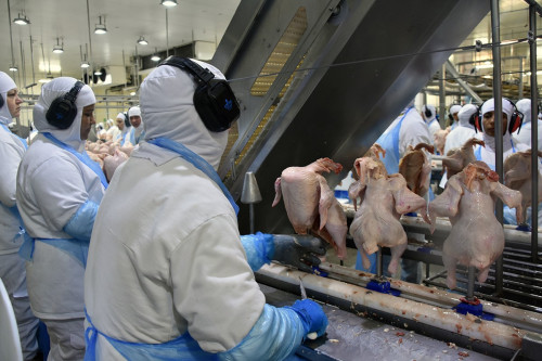 Juros altos e crédito restrito derrubam produção da agroindústria