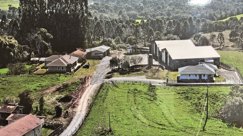 De pai para filho: a virada na produtividade da soja da família Wasik, no Paraná