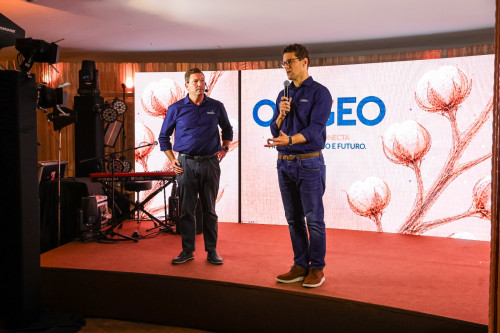 Protagonismo do algodão brasileiro abre caminho para o país e se tornar referência de preços
