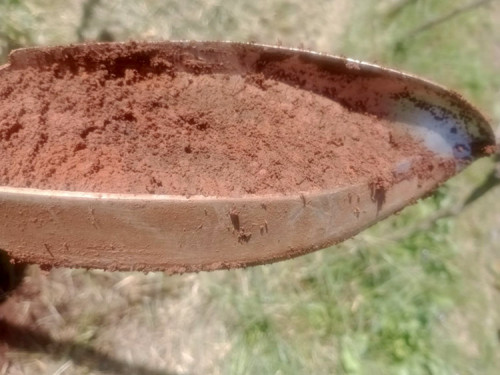 Qualidade do solo e saúde humana viram pauta no Dia da Agroecologia