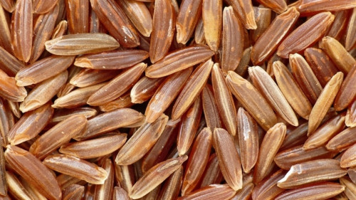 Preço do arroz cai e diferença entre padrões encolhe