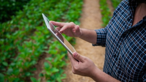Pesquisa mostra como empresas do agro buscam o produtor