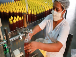 MS: Agro.BR vai preparar empresas para o mercado internacional