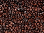 Clima deve propiciar boa safra de café no Paraná