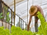 Extrativistas e agricultores serão capacitados