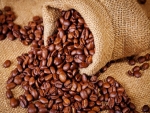 CAFÉ/CEPEA: arábica e robusta iniciam 2019 em queda no BR