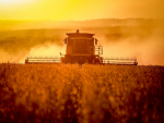 Confiança do agronegócio tem alta no segundo trimestre