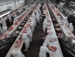 Mato Grosso tem dois frigoríficos aptos a exportarem carne para os EUA