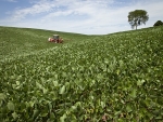 Paraná plantou 80% da safra de soja, segundo Deral