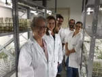 Embrapa adequa suas coleções genéticas às normas internacionais de qualidade