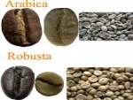 Diferença entre café arábica e robusta tem menor nível desde fevereiro de 2014