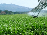 Agrotins Brasil 2015 apresentará modelos sustentáveis de irrigação para agricultura