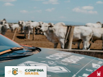Confinamentos brasileiros investem mais em tecnologias para gestão da fazenda, aponta Beckhauser