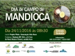 Dia de Campo de Mandioca acontece dia 24 de novembro em Porto Velho