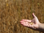 USDA vai pagar US$ 4,7 bi a agricultores para compensar perdas comerciais