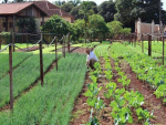 Associações entregam ao governo de SP plano para fortalecer Casas da Agricultura