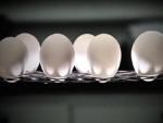 Revestimento nanotecnológico aumenta tempo de prateleira do ovo