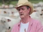 Pecuarista de MS mostra como diminuir fase de recria do gado e aumentar produção de carne