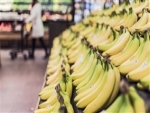 Alimentos brasileiros estão entre os mais seguros do mundo