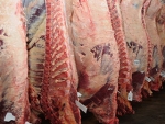 Embarques de carne bovina devem crescer