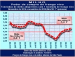 Milho: poder de compra do frango retorna à média dos últimos 16 anos