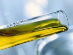 Acesso do etanol ao mercado europeu pode contribuir para o desenvolvimento sustentável da EU