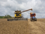 Colheita da soja e plantio do milho aceleram em MT