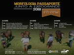 Dos pampas ao cerrado, raça Crioula marca presença na 80ª Expogrande