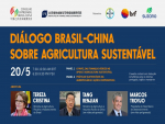 Brasil e China discutem cooperação em agricultura sustentável