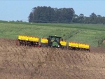 Plantio de soja no Paraná chega a 98% da área