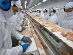 Exportação recorde de frango dá suporte a preço doméstico