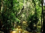 Universidades da Amazônia firmam compromisso de desenvolver pesquisas em bioeconomia