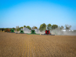 Exportações do agronegócio devem fechar 2021 com receita recorde
