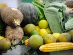 Agricultores investem na produção de desidratados orgânicos