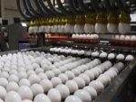 Ovos: produção segue ajustada e contribuindo para manter os preços
