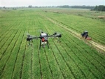Drones reduzem em 50% custos de aplicação na cana
