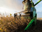 Alta nos preços internacionais faz exportações do agro baterem recorde em junho